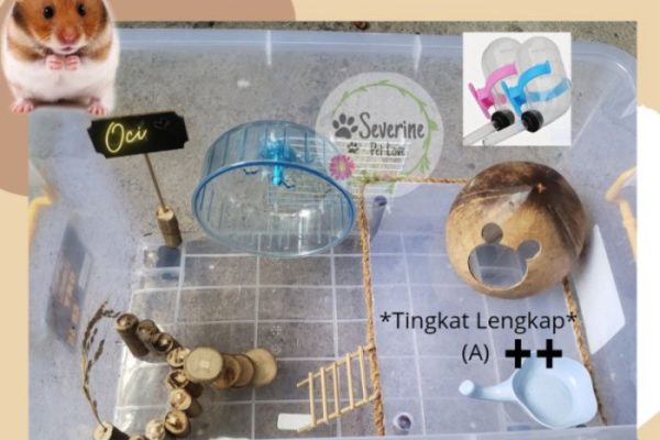 Jual kontainer box modif Akrilik Container kandang hamster komplit ...