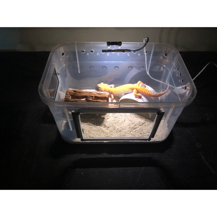 Jual Kandang Reptil Gecko, Hamster ,Tarantula , kodok DLL uk 22x15x12 ...