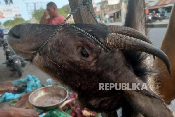Daging kambing di Cianjur, Kabupaten Cianjur