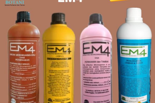 Em4 peternakan ayam di Ampek Nagari, Kabupaten Agam