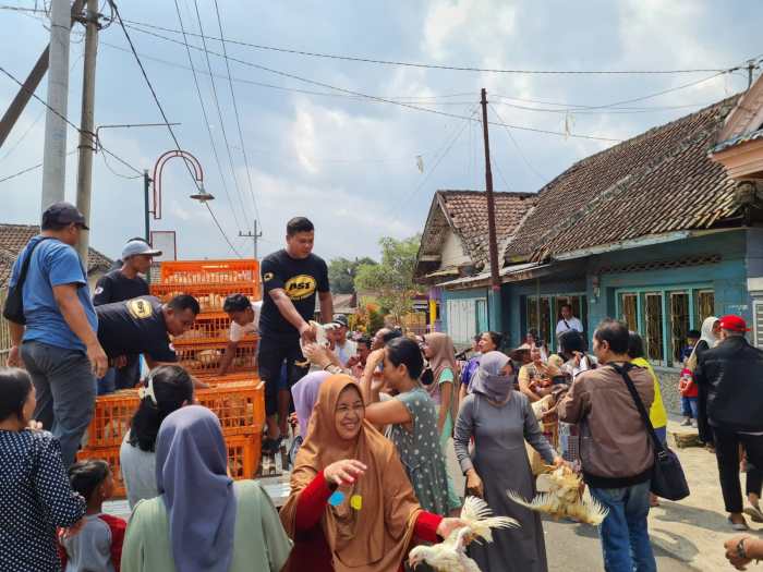 Ayam ternak di Kutoarjo, Purworejo