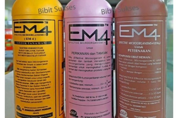 Em4 peternakan ayam di Tenayan Raya, Kota Pekanbaru