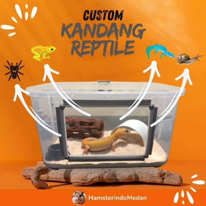 Jual Kandang Reptil Gecko, Hamster ,Tarantula , kodok DLL uk 22x15x12 ...