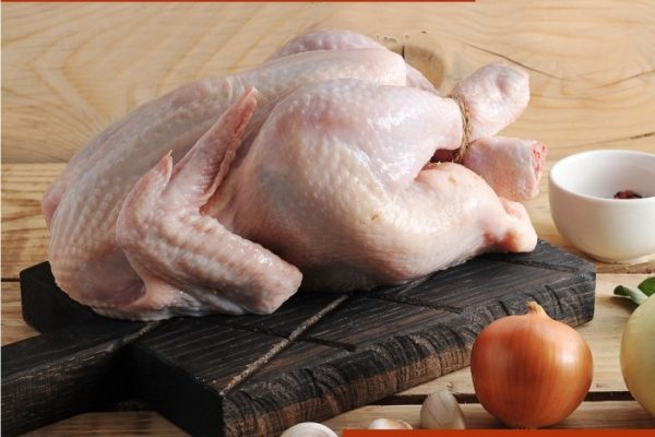 Harga Ayam Kampung Potong Asli Terbaru Agustus 2022 |BigGo Indonesia