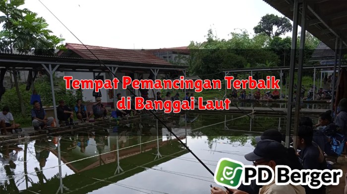Daun penggemuk ayam di Banggai, Banggai Laut