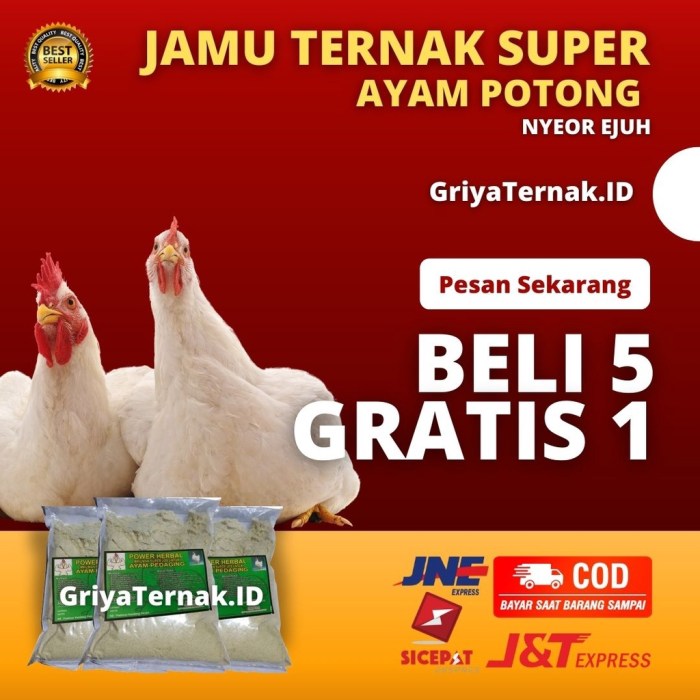Jual POWER HERBAL AYAM PEDAGING JAMU AYAM PEDAGING VITAMIN AYAM BROILER ... Daun penggemuk ayam di Mada Pangga, Bima