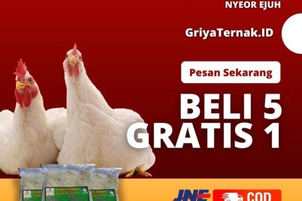 Daun penggemuk ayam di Melaya, Jembrana