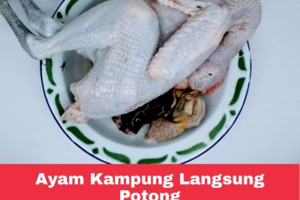 Harga ayam kampung potong di Cilamaya Kulon, Karawang