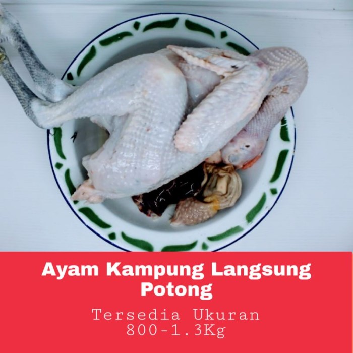 Jual Ayam kampung potong fresh UK 8ons - 1.2kg hidup + potongan halal ... Harga ayam kampung potong di Seputih Agung, Lampung Tengah