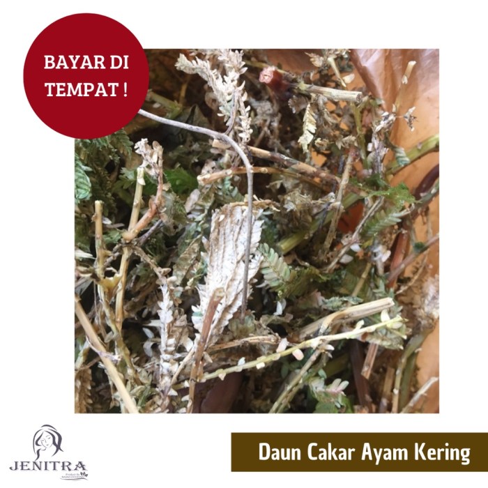 Daun penggemuk ayam di Alla, Enrekang