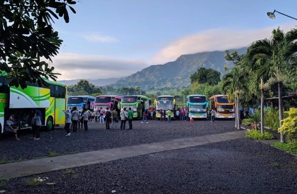 Daun penggemuk ayam di Gerokgak, Buleleng
