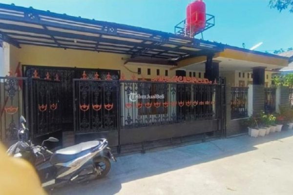 Indukan Ayam Afkir 4kg Menjanjikan, Untuk Konsumsi - YouTube