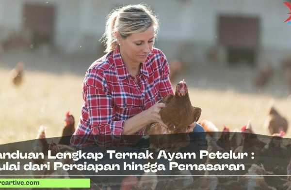 Ternak ayam petelur di Rote Timur, Rote Ndao