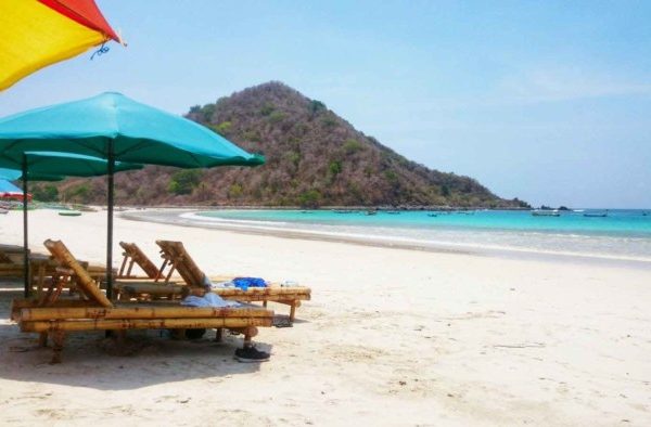 Daun penggemuk ayam di Praya Tengah, Lombok Tengah