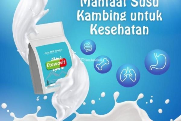 Susu kambing di Mandiraja, Banjarnegara