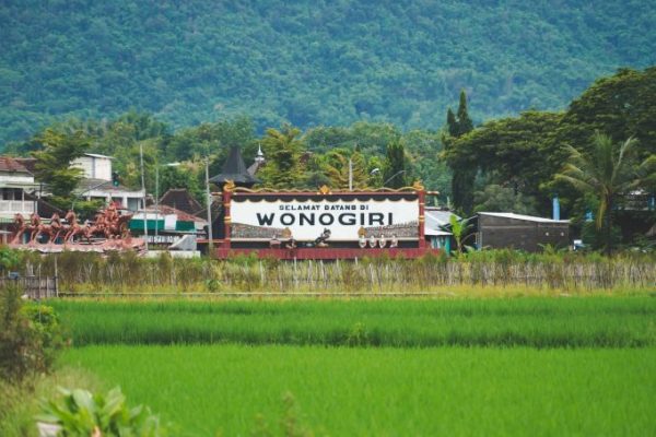 Budidaya ternak ayam di Wonogiri, Kab. Wonogiri