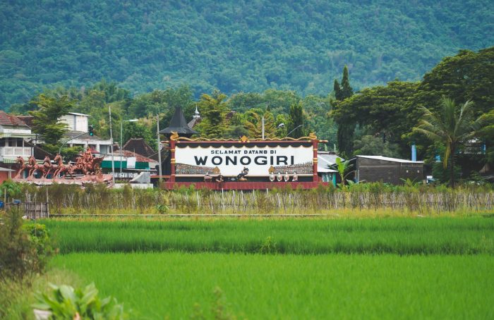 Antraks Muncul Lagi di Gunungkidul, Wonogiri Awasi Pergerakan Hewan ... Budidaya ternak ayam di Wonogiri, Kab. Wonogiri