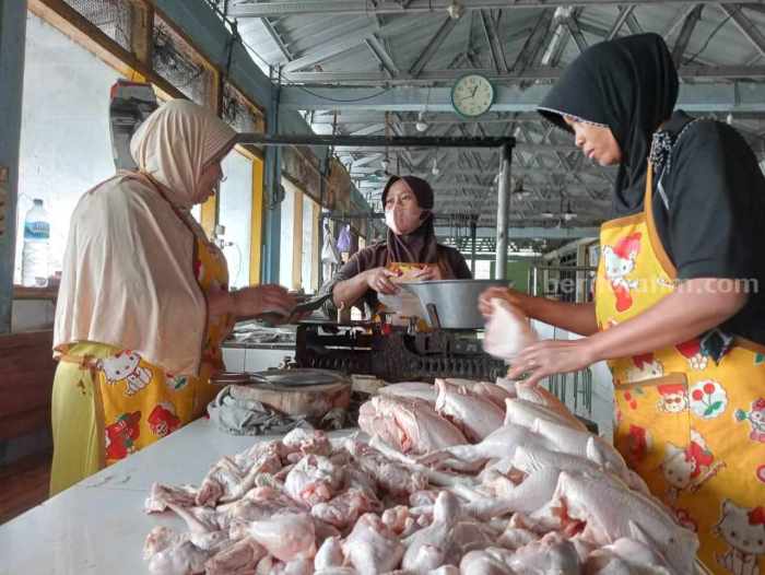 Tanah 4,9 Hektar di Karas Magetan Mangkrak, Entah Kapan Dibangun TPA? Daging kambing di Karas, Magetan
