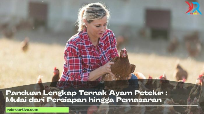 Prospek Menjajikan Ternak Ayam Petelur - Jagad Tani - Petaninya Milenial