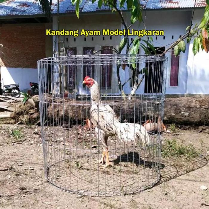 Daun penggemuk ayam di Kulisusu Barat, Buton Utara
