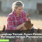 Ternak ayam petelur di Kolaka, Kolaka