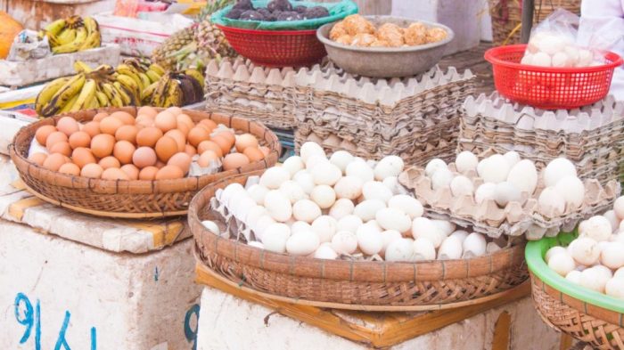 Ternak ayam petelur di Wae Rii, Manggarai