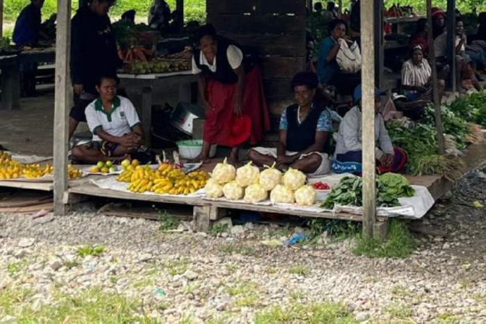 Daun penggemuk ayam di Kelulome, Kab. Lanny Jaya