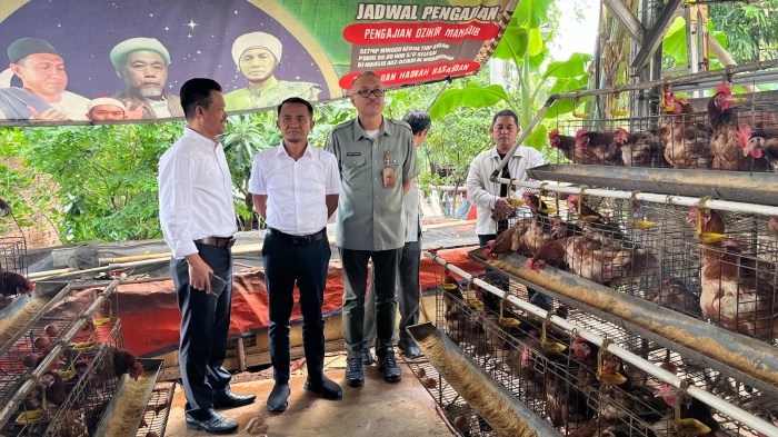 Inspirasi AAS dari Bekasi untuk Bone, Tingkatkan Ekonomi Masyarakat ... Ternak ayam petelur di Bone, Muna