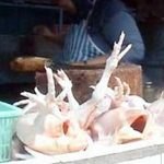 Peluang Usaha Daging Ayam Petelur Afkir - MardhatillahFarm