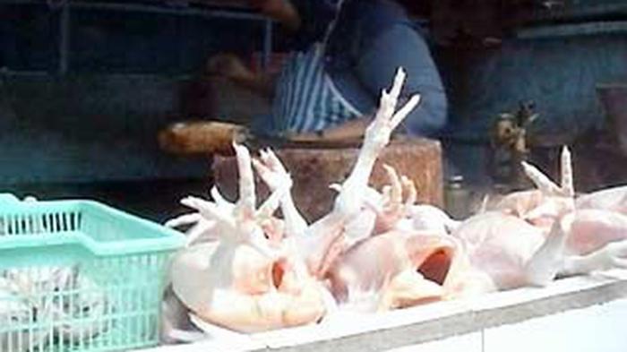 Januari-September 2022, 22.071 Ekor Ayam Afkir Dikirim ke Balikpapan ...