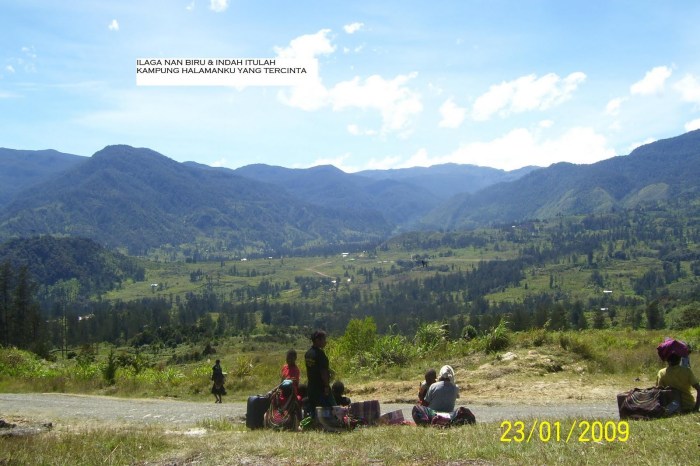 Daun penggemuk ayam di Ilaga, Kab. Puncak