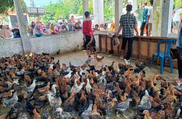 Sungai Beremas Ditetapkan Sebagai Kawasan Konservasi Perairan di ...