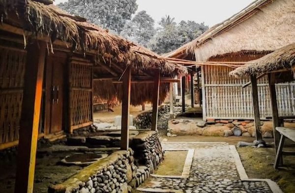 Daun penggemuk ayam di Bayan, Lombok Utara