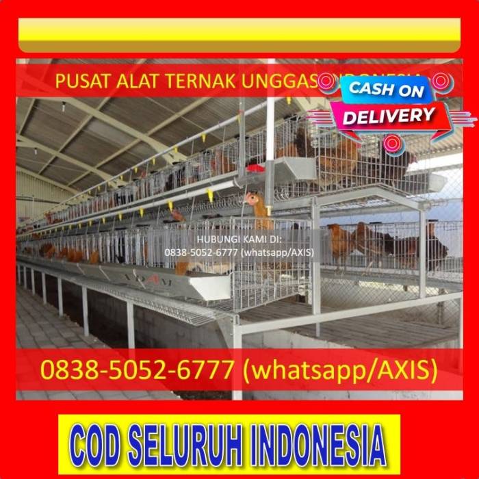 0838–5052–6777 — Supliyer Kandang Baterai Ayam Petelur Kota Metro | by ... 0838–5052–6777 — Supliyer Kandang Baterai Ayam Petelur Kota Metro | by ...