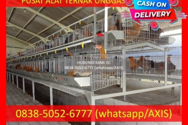 0838–5052–6777 — Supliyer Kandang Baterai Ayam Petelur Kota Metro | by ...