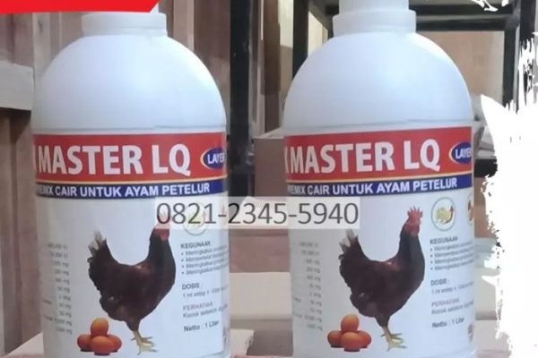 Ayam layer di Sumay, Kabupaten Tebo