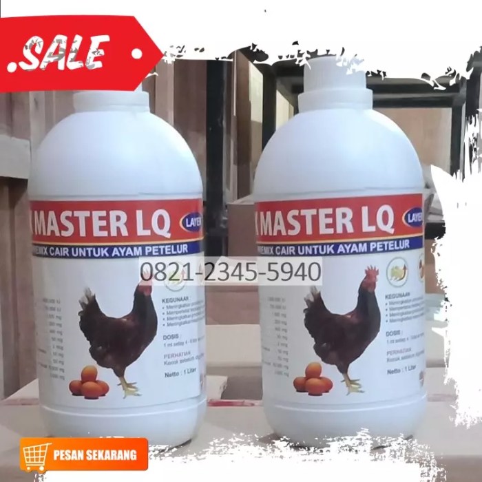 Ayam layer di Sumay, Kabupaten Tebo