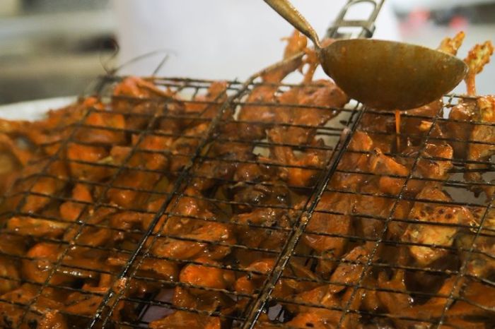 5 Manfaat Ternak Ayam Petelur Tanpa Kandang dan Kerugiannya 5 Manfaat Ternak Ayam Petelur Tanpa Kandang dan Kerugiannya