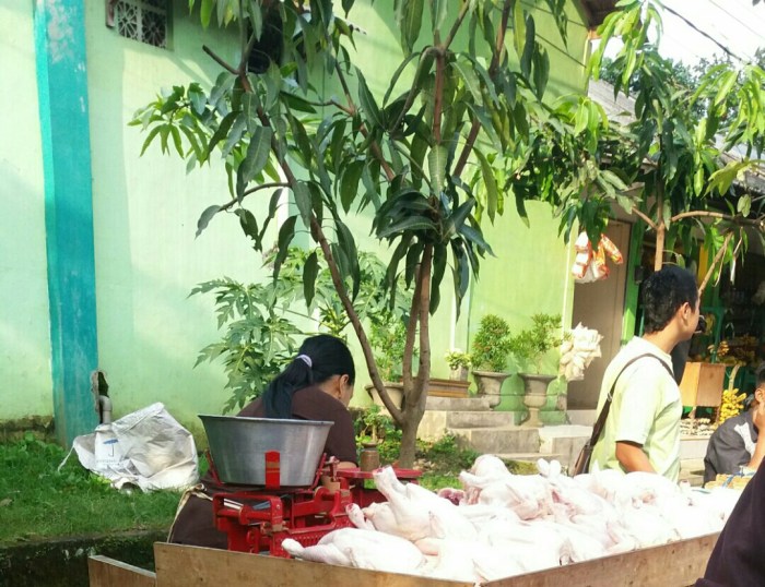 Jelang Akhir Tahun 2023, Harga Ayam Potong di Pasar Ciputat Melonjak ... Harga ayam kampung potong di Cibalong, Tasikmalaya