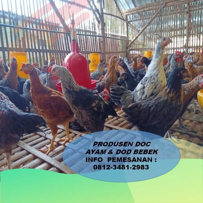 Rangkuman Layer Rizqi Akbar Hidayatullah - RANGKUMAN MEMAHAMI ... Rangkuman Layer Rizqi Akbar Hidayatullah - RANGKUMAN MEMAHAMI ...