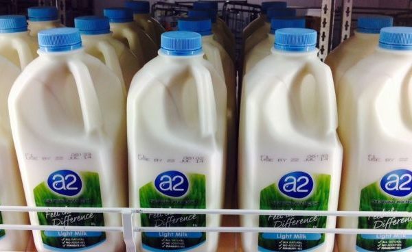 Susu kambing di Cipanas, Cianjur