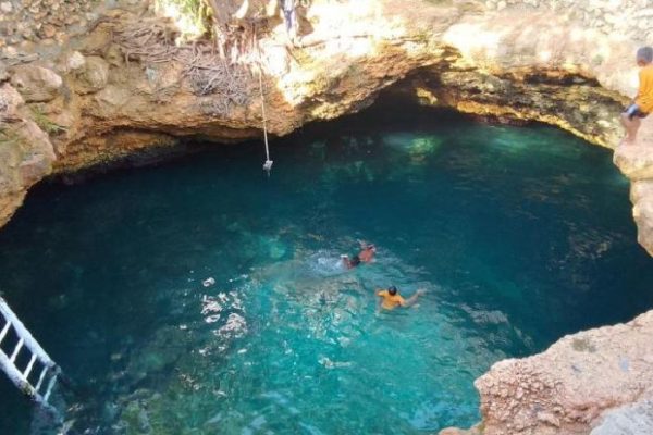 Daun penggemuk ayam di Banawa Tengah, Donggala