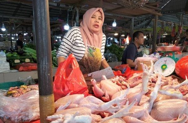 Harga Ayam Broiler Rp 23-30 Ribu per Kg di Pasar Angso Duo Baru Kota ...