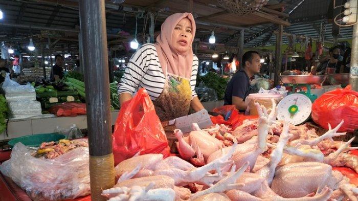Harga Ayam Broiler Rp 23-30 Ribu per Kg di Pasar Angso Duo Baru Kota ...