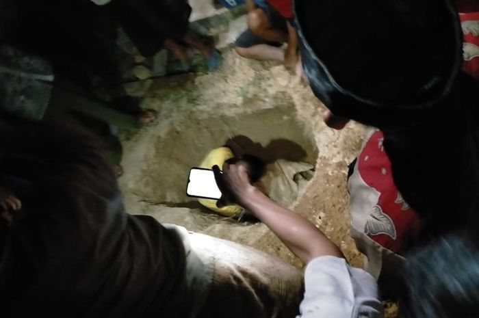Makam Sesepuh Desa Terbongkar Secara Misterius, Keluarga Menyebutkan ... Ayam layer di Renah Pamenang, Kabupaten Merangin