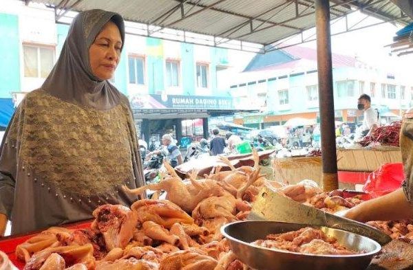 Harga daging ayam broiler di Jambi naik Rp5.000 per kilogram - ANTARA ...