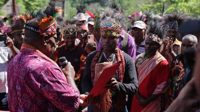 Gambar kandang ayam petelur modern # Ternak Ayam Petelur | Ayam ... Ternak ayam petelur di Konda, Kab. Sorong Selatan