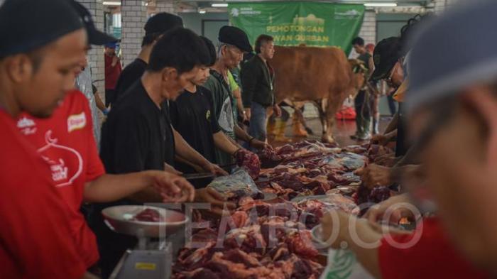 Posyandu Kambing, Cara Siapkan Kambing Sehat untuk Dijual | Republika ... Daging kambing di Puspo, Pasuruan