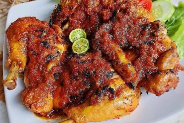 Ayam merah petelur di Temon, Kulon Progo
