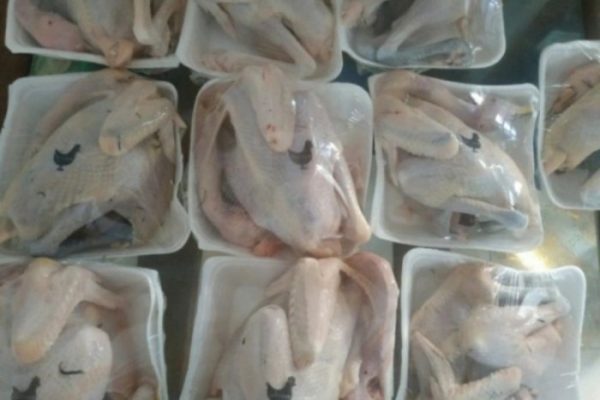 Harga ayam kampung potong di Jati Agung, Lampung Selatan